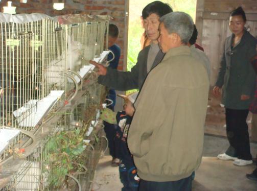 ���Ꚉ���˸����P�l(xi��ng)��ȡ���B(y��ng)ֳ��(j��ng)�� 