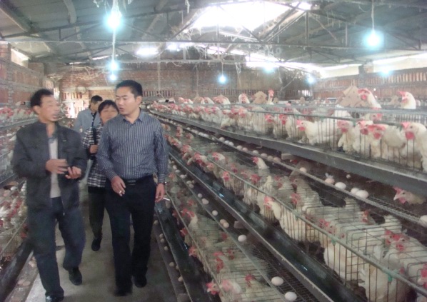 ����^(q��)��(li��n)�������ָ��(d��o)�������B(y��ng)ֳ�I(y��)