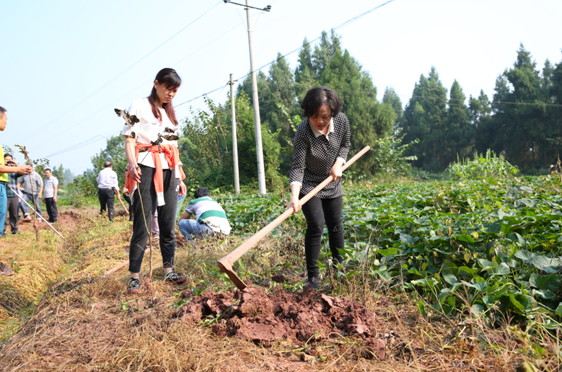 �К�(li��n)�����_չ��ؚ�ͷ�����