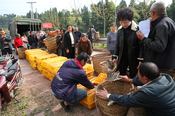 ����ؚ�u�硱�͵���  ؚ��Ⱥ����(l��)�Ǻ�