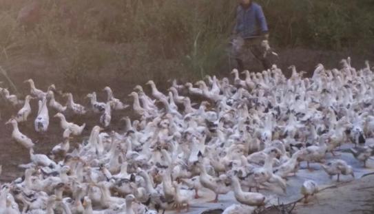 ����ж��������������˾Ӽ��`��͘I(y��)����